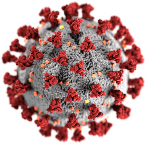 Teste à proteína c-reativa de CRP como um dos primeiros passos de diagnóstico para a COVID-19